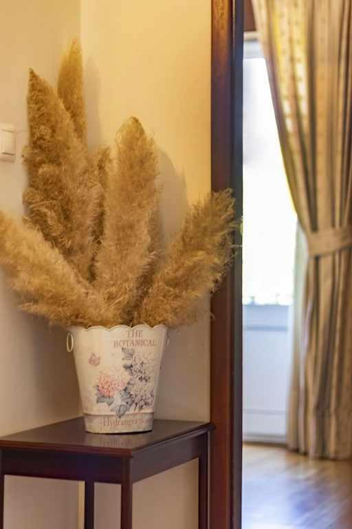 Quintinha De Sabadim - 500 Metros Da Ecovia De Sistelo Villa Arcos de Valdevez Luaran gambar